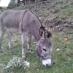 Casa de hóspedes De La Grange & Sauna 3*