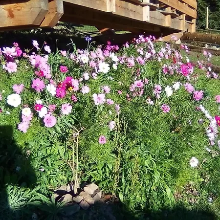 De La Grange & Sauna Plainfaing