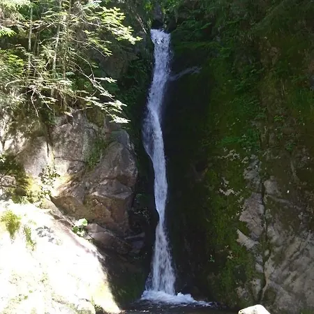 De La Grange & Sauna Guest house Plainfaing