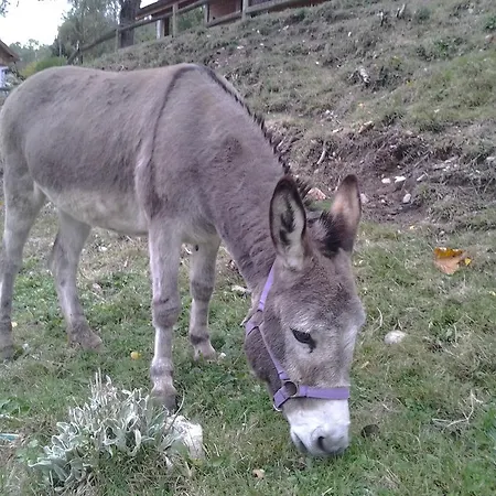 Maison d'hôtes De La Grange Spa&sauna 3*