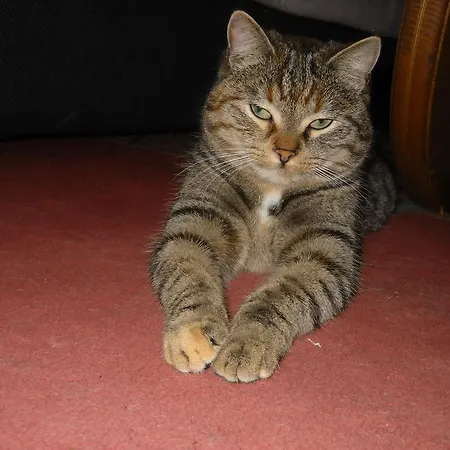 De La Grange Spa&sauna Plainfaing