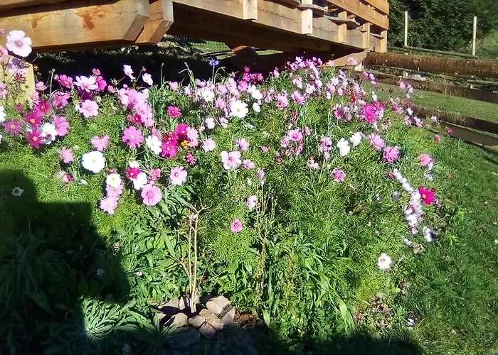 De La Grange & Sauna Plainfaing