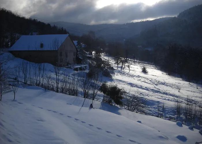 De La Grange & Sauna 3* Plainfaing