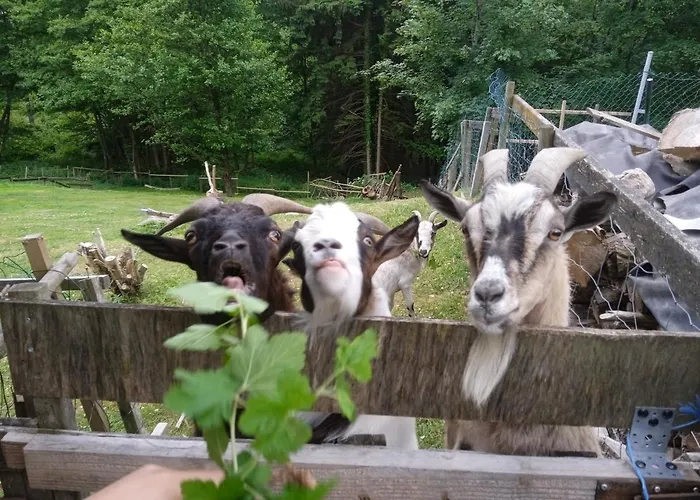 Pensionat De La Grange & Sauna