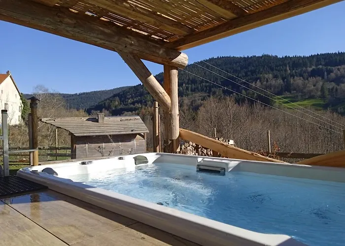 De La Grange & Sauna 3* Plainfaing