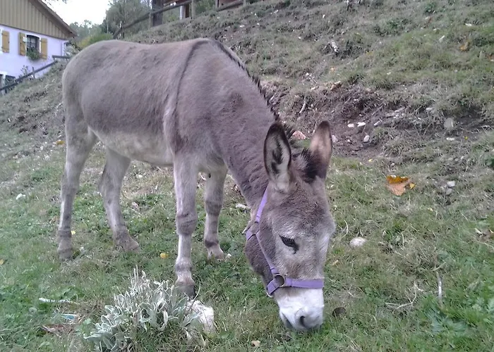 Pensionat De La Grange & Sauna 3*