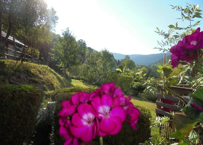 De La Grange Spa&sauna