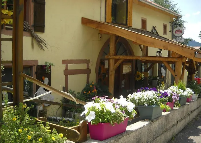 De La Grange & Sauna Pensionat