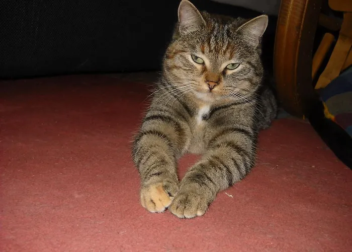 De La Grange & Sauna Plainfaing